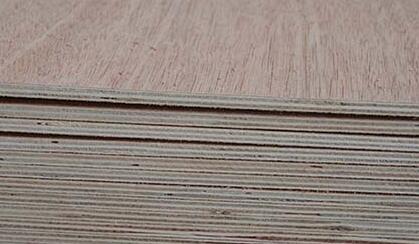 ���γ��Ͷ��Ӱ�