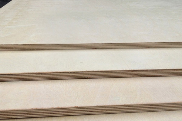 ���Ӱ�Ҿ�����Ҫ��