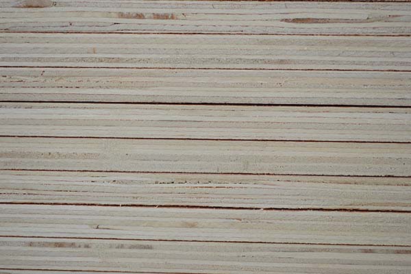 ���Ӱ������Ҿߵă�(y��u)��(sh��)