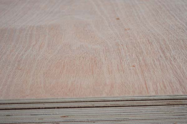 ���Ӱ��ڌӉ��^(gu��)���Е�(hu��)���F(xi��n)ʲô��(w��n)�}